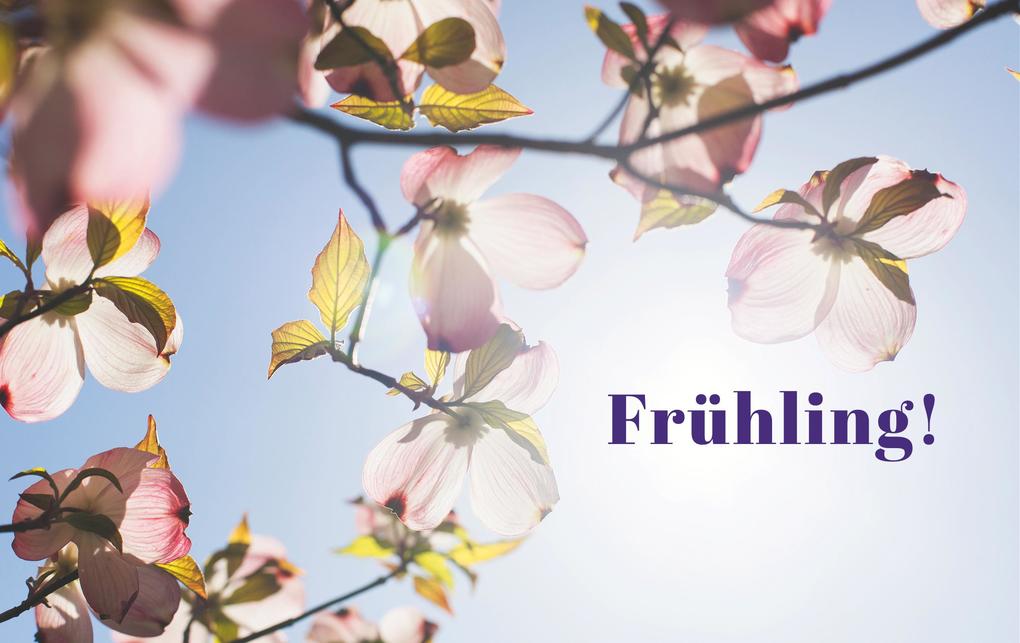 Weitere Ansicht: Dein schöner Garten | Dieke van Dieken