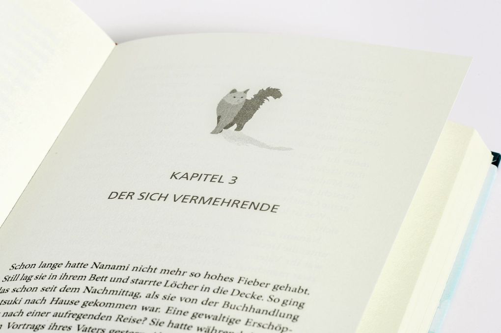 Weitere Ansicht: Die Katze, die unsere Bücher rettete | Sosuke Natsukawa