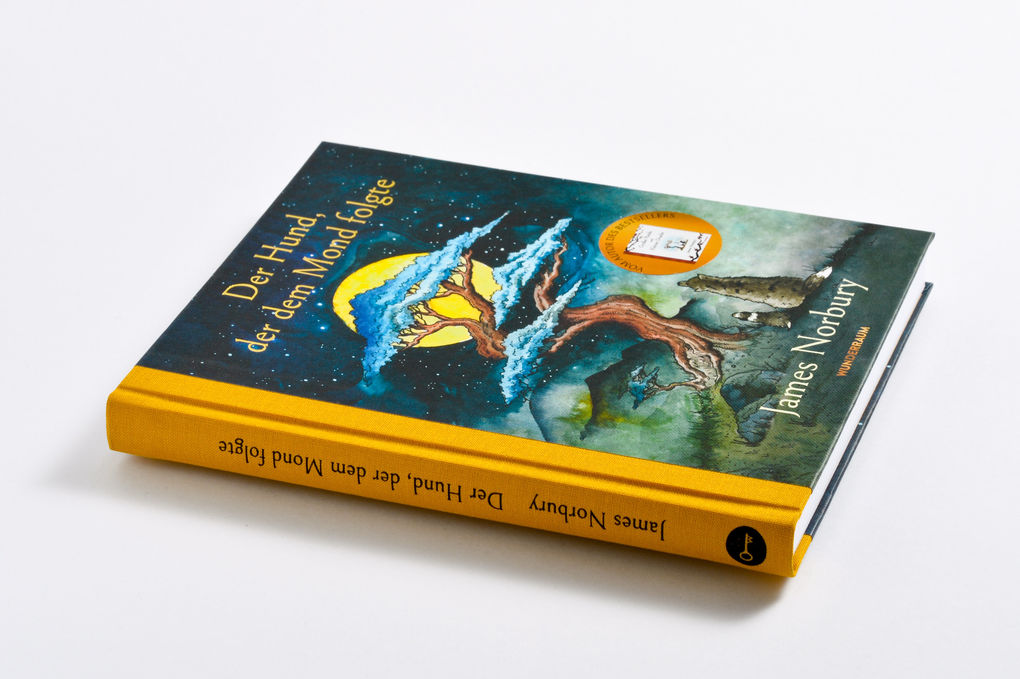 Weitere Ansicht: Der Hund, der dem Mond folgte | James Norbury