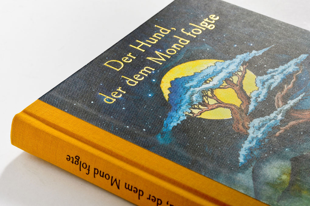 Weitere Ansicht: Der Hund, der dem Mond folgte | James Norbury