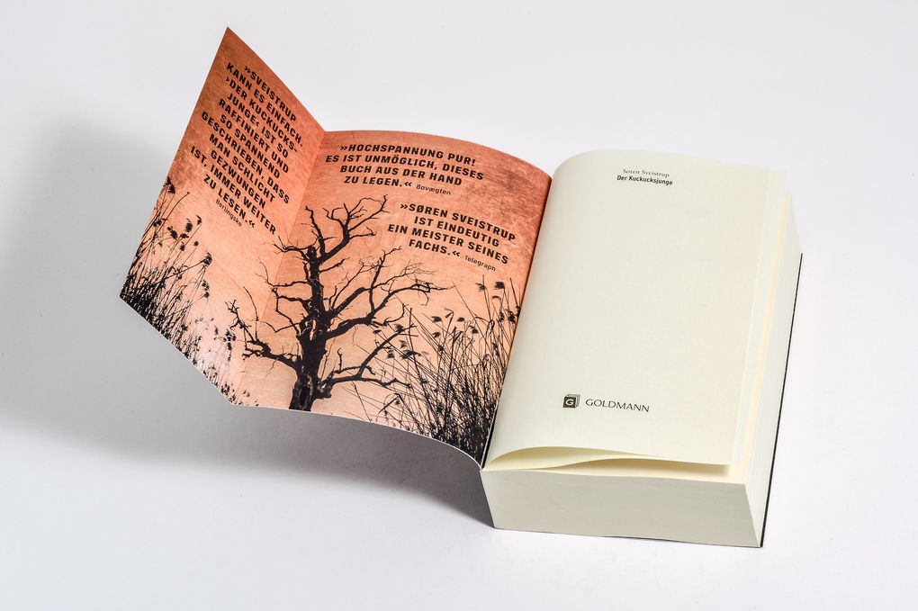 Weitere Ansicht: Der Kuckucksjunge | Søren Sveistrup