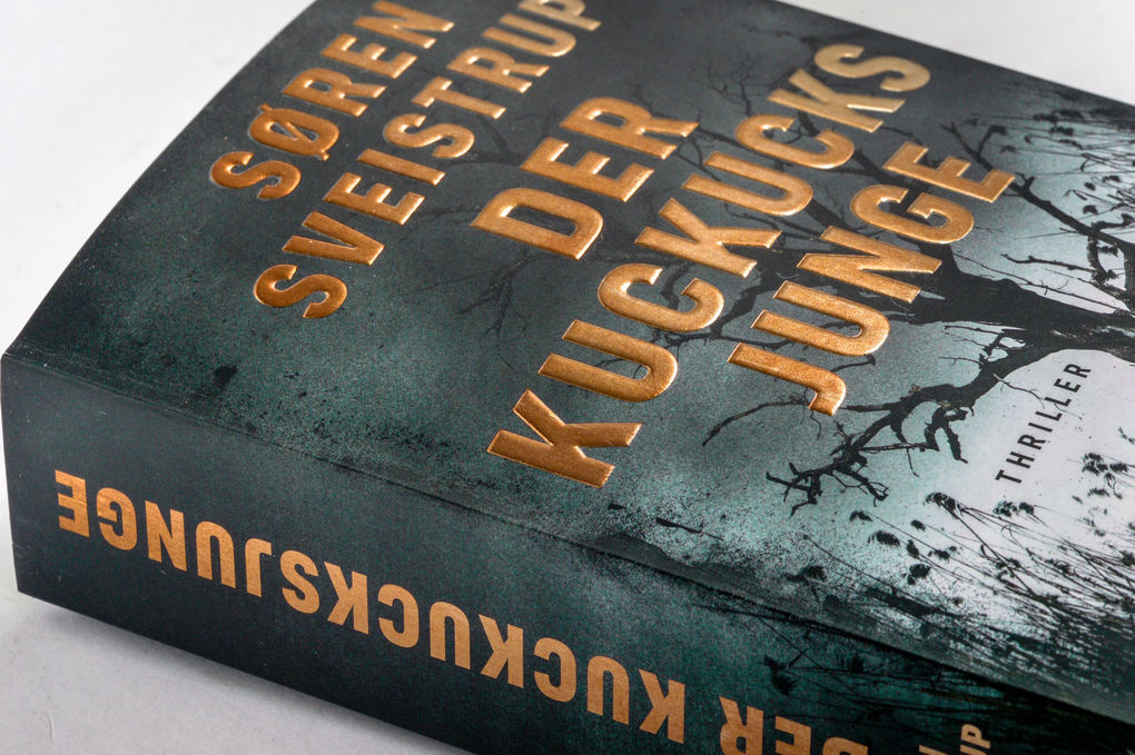 Weitere Ansicht: Der Kuckucksjunge | Søren Sveistrup