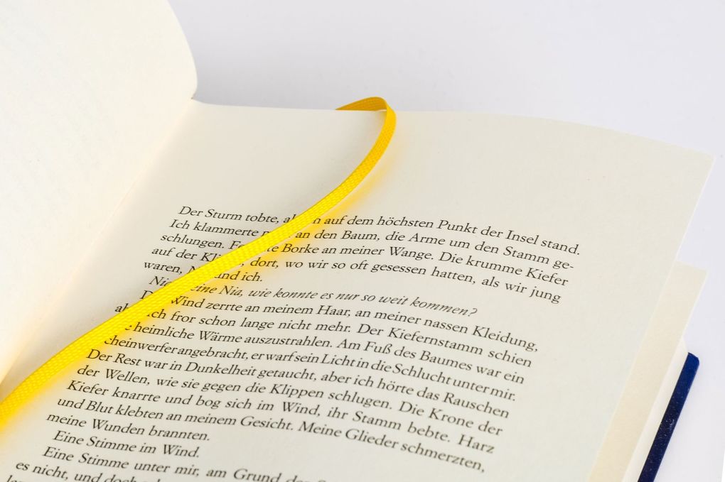 Weitere Ansicht: Die Insel meiner Schwester | Sara B. Elfgren