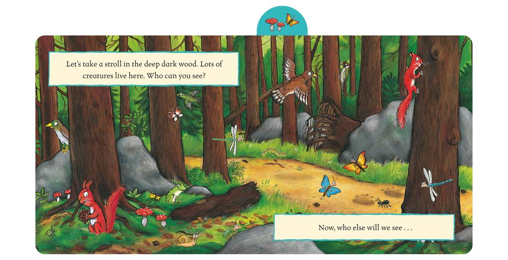 Weitere Ansicht: Gruffalo, Who Can You See? | Julia Donaldson