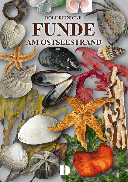 Produktbild: Funde am Ostseestrand | Rolf Reinicke