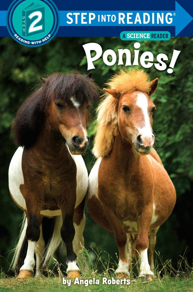 Produktbild: Ponies! | Angela Roberts