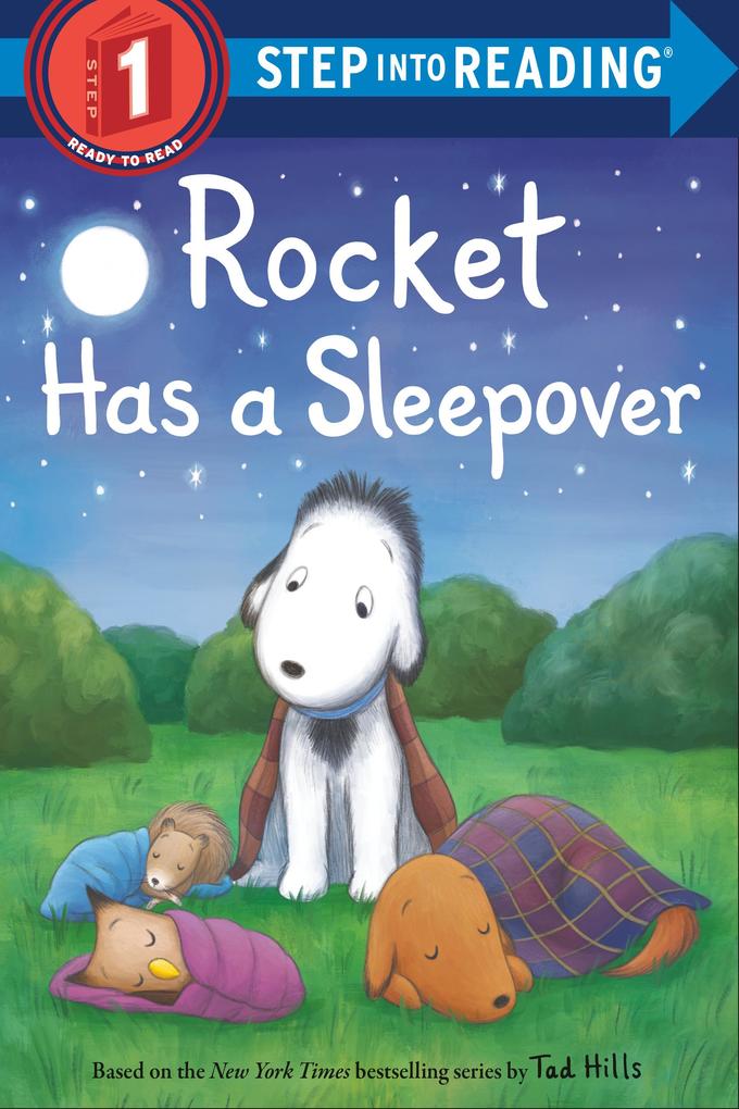 Produktbild: Rocket Has a Sleepover | Tad Hills