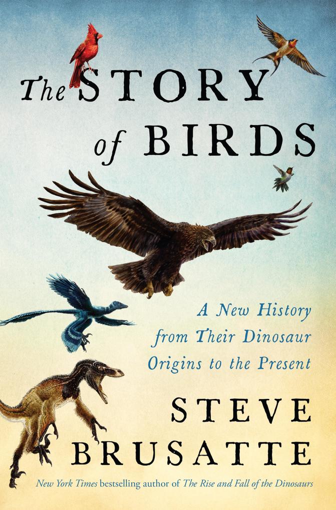 Produktbild: The Story of Birds | Steve Brusatte