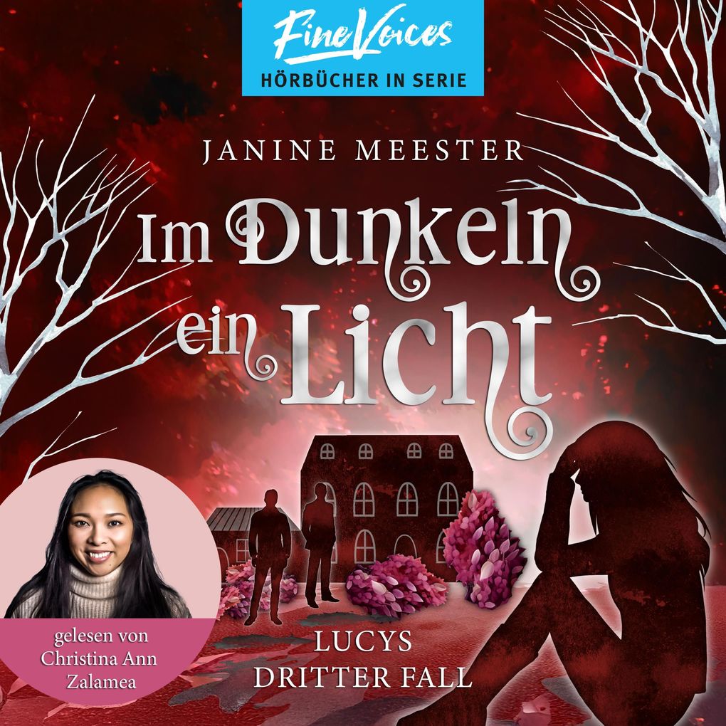 Produktbild: Im Dunkeln ein Licht | Janine Meester