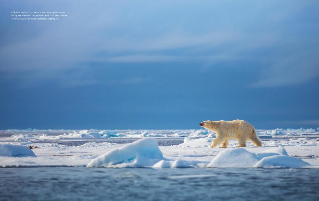 Weitere Ansicht: Meine Arktis | Sebastian Ströbel