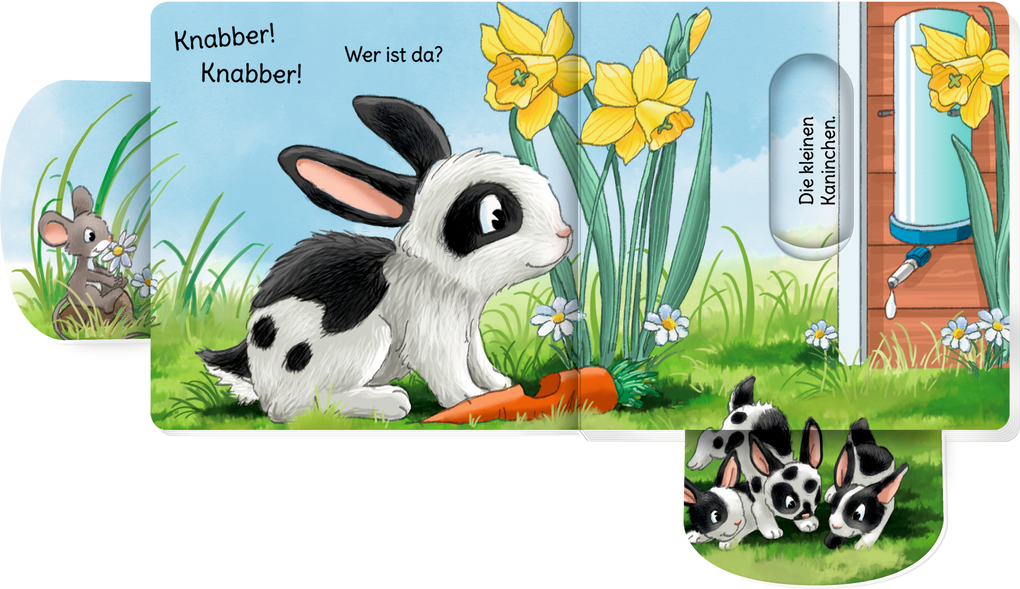Weitere Ansicht: minifanten 47: Quak! Quak! Wer ist da?