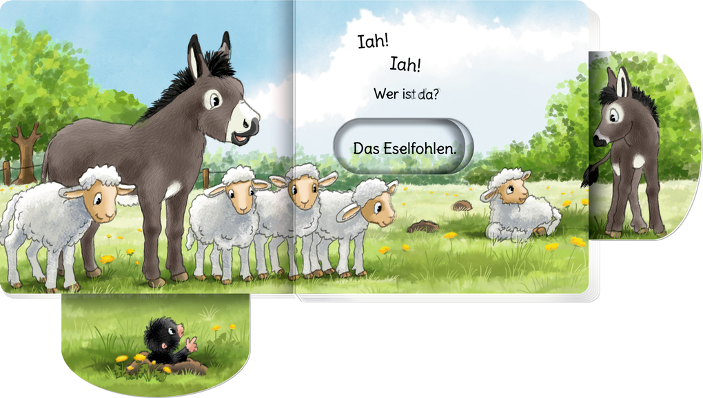 Weitere Ansicht: minifanten 47: Quak! Quak! Wer ist da?