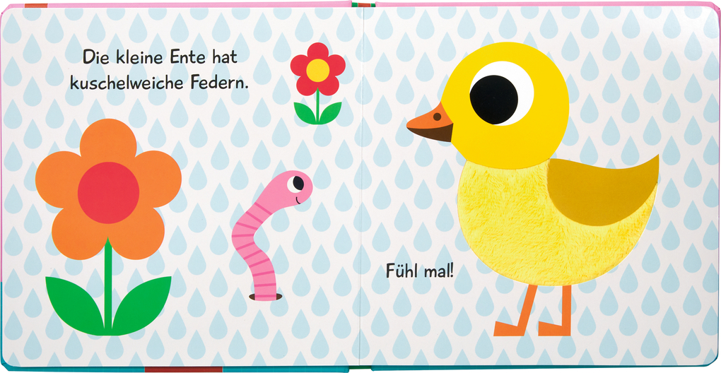 Weitere Ansicht: Mein Fühlbuch: Kleine Ente
