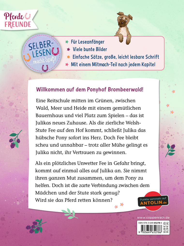 Weitere Ansicht: Ponyhof Brombeerwald (Bd. 1) | Holly Ginster