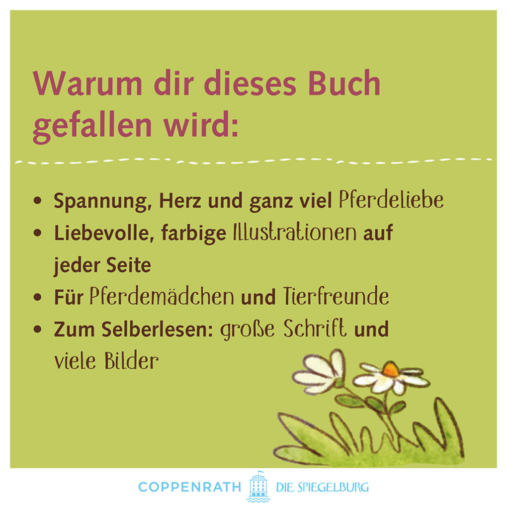 Weitere Ansicht: Ponyhof Brombeerwald (Bd. 1) | Holly Ginster