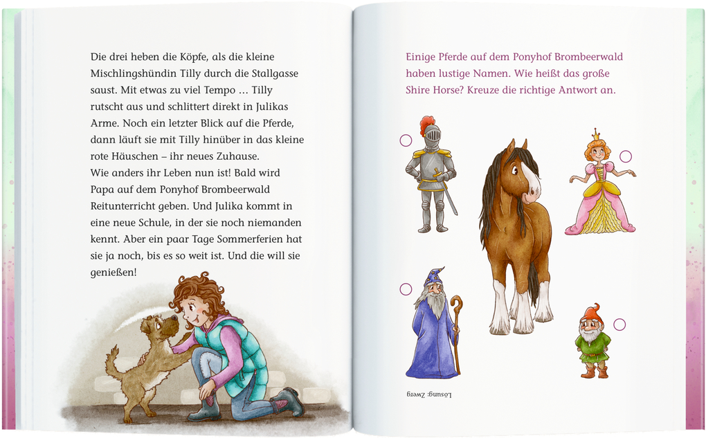 Weitere Ansicht: Ponyhof Brombeerwald (Bd. 1) | Holly Ginster
