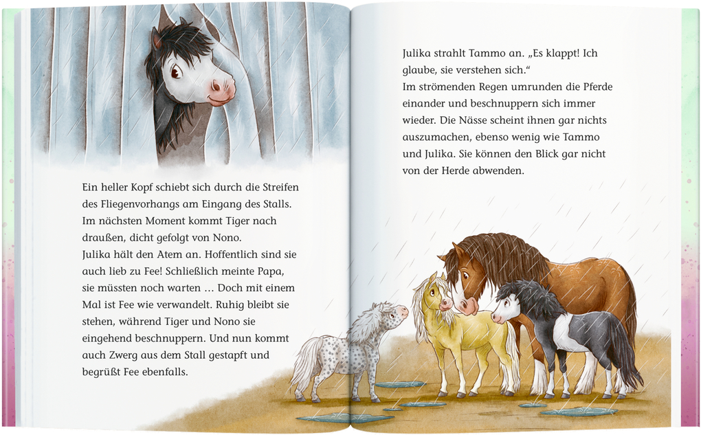 Weitere Ansicht: Ponyhof Brombeerwald (Bd. 1) | Holly Ginster
