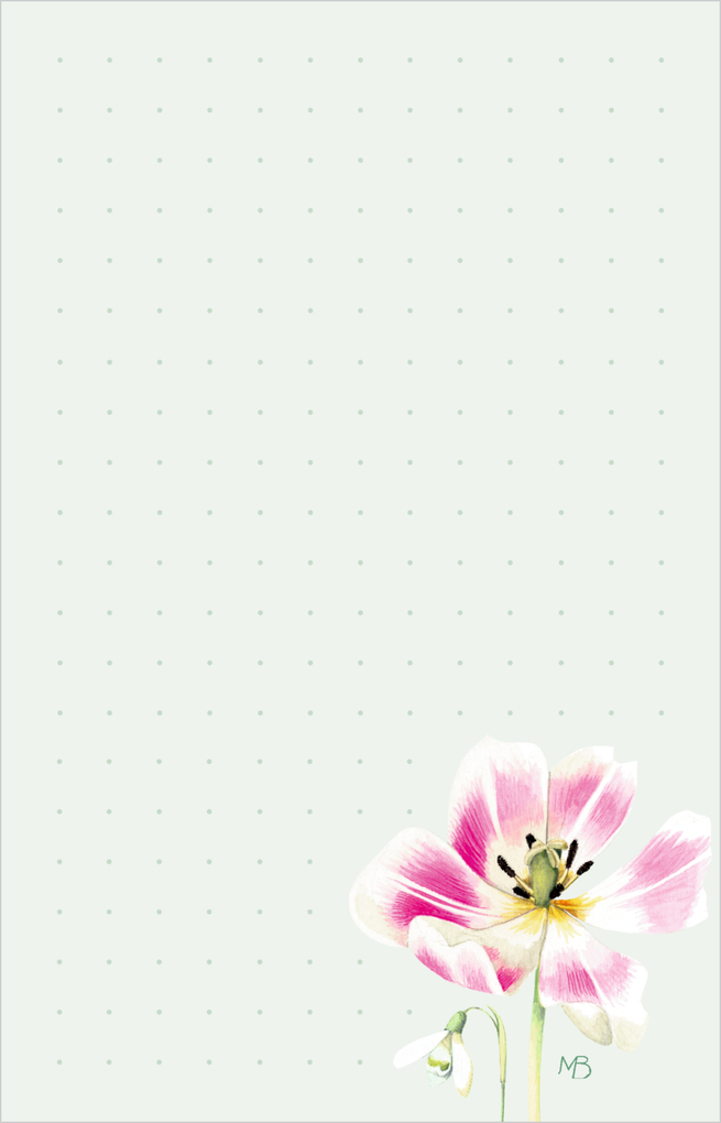 Weitere Ansicht: Notizblöckchen