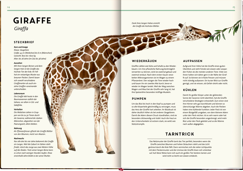 Weitere Ansicht: Unsichtbar | Holger Haag