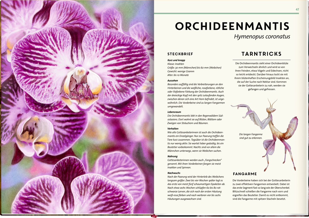 Weitere Ansicht: Unsichtbar | Holger Haag