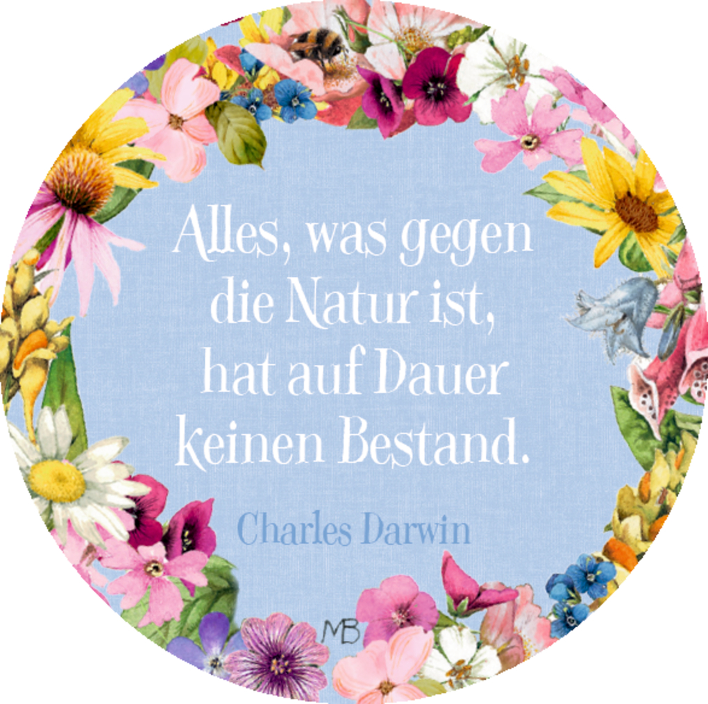 Weitere Ansicht: Sprüchedose - Nimm eins!