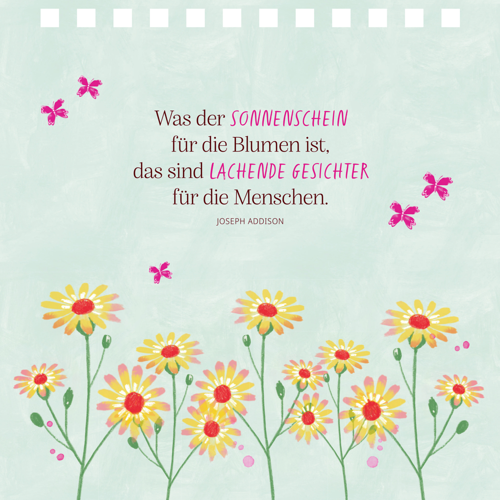 Weitere Ansicht: You are my Sunshine