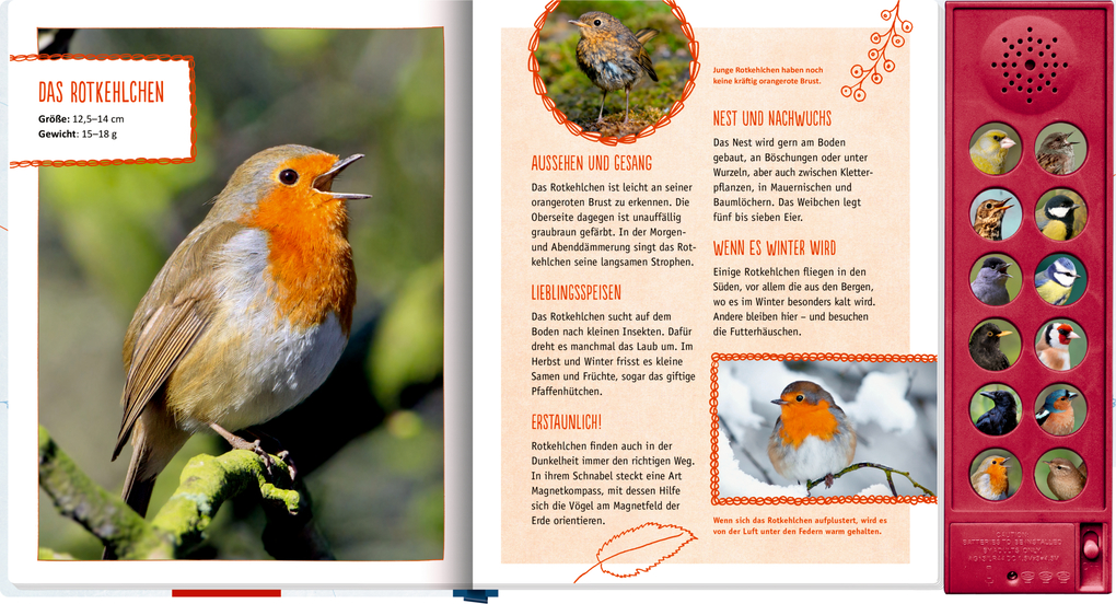 Weitere Ansicht: Vögel in unserem Garten | Holger Haag