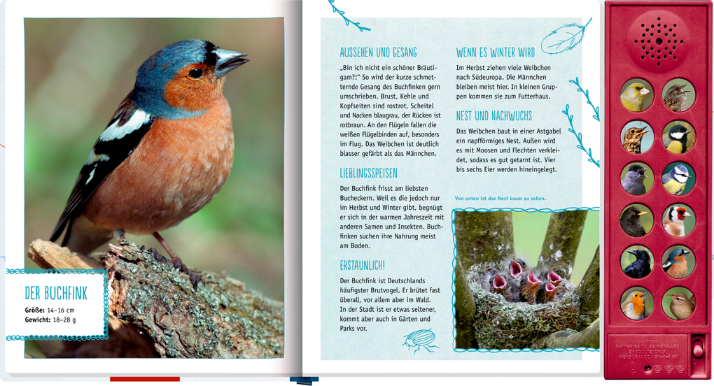 Weitere Ansicht: Vögel in unserem Garten | Holger Haag