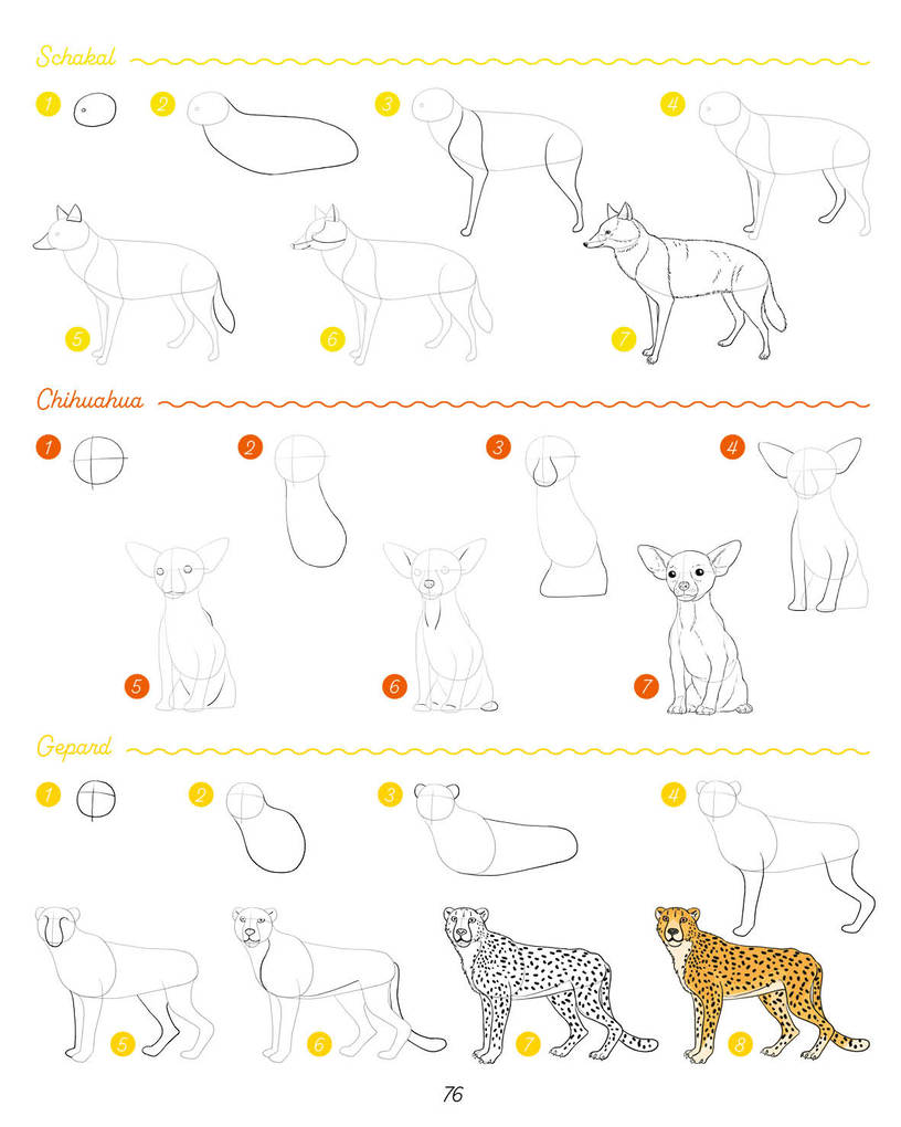 Weitere Ansicht: Die ultimative Motiv-Bibliothek - 1000 x zeichnen | Lise Herzog