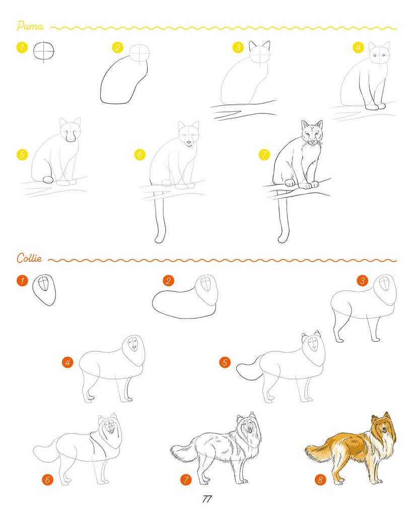 Weitere Ansicht: Die ultimative Motiv-Bibliothek - 1000 x zeichnen | Lise Herzog