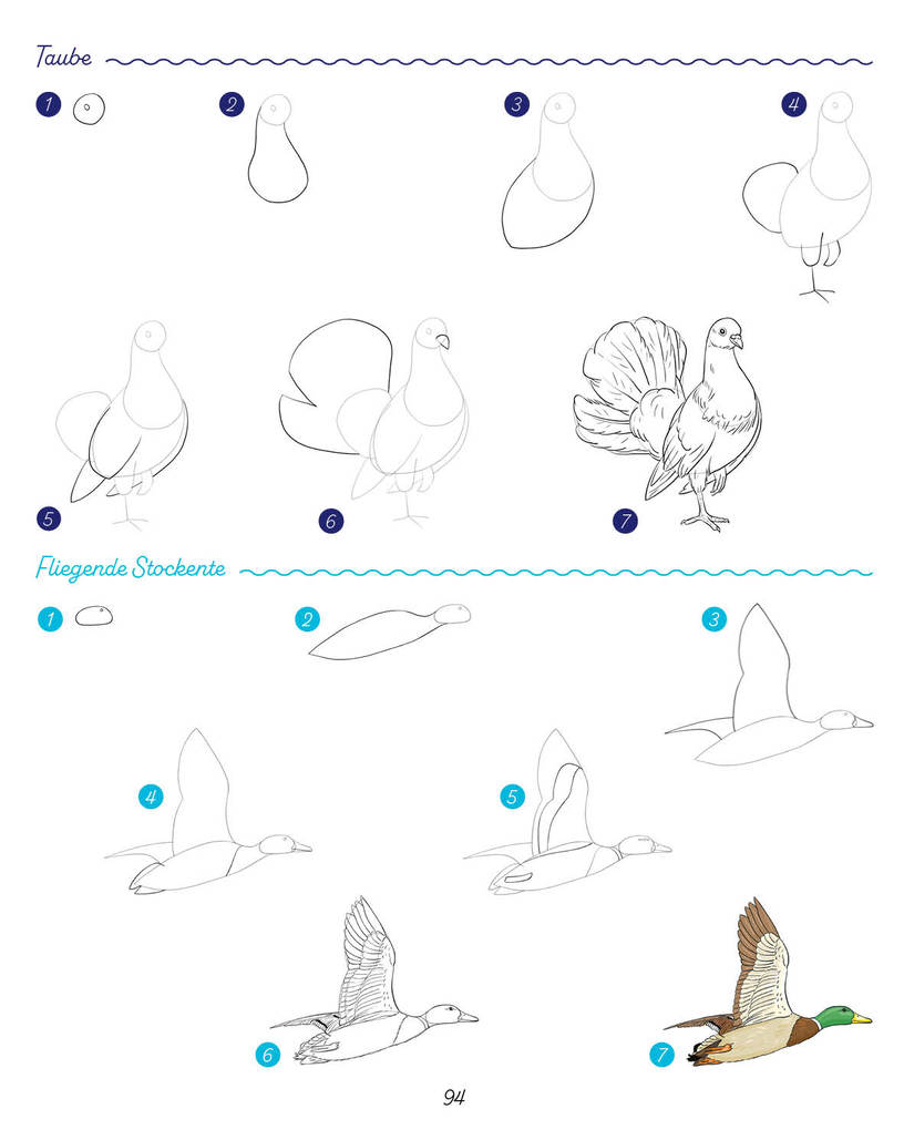 Weitere Ansicht: Die ultimative Motiv-Bibliothek - 1000 x zeichnen | Lise Herzog