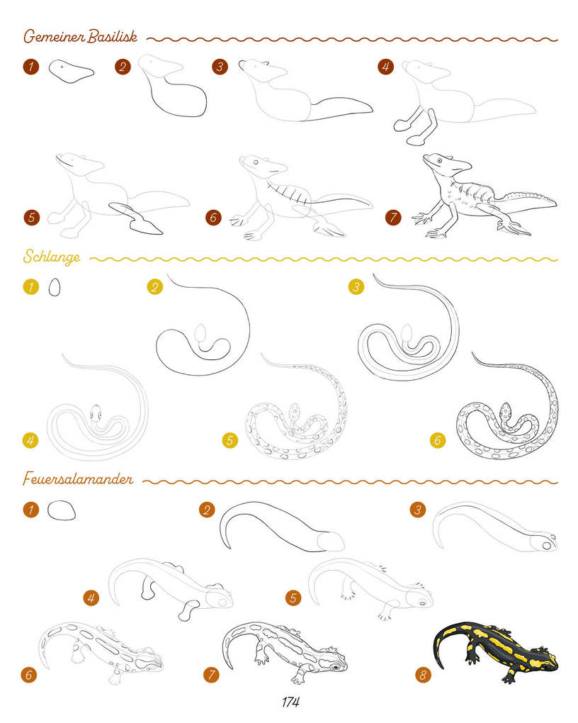 Weitere Ansicht: Die ultimative Motiv-Bibliothek - 1000 x zeichnen | Lise Herzog