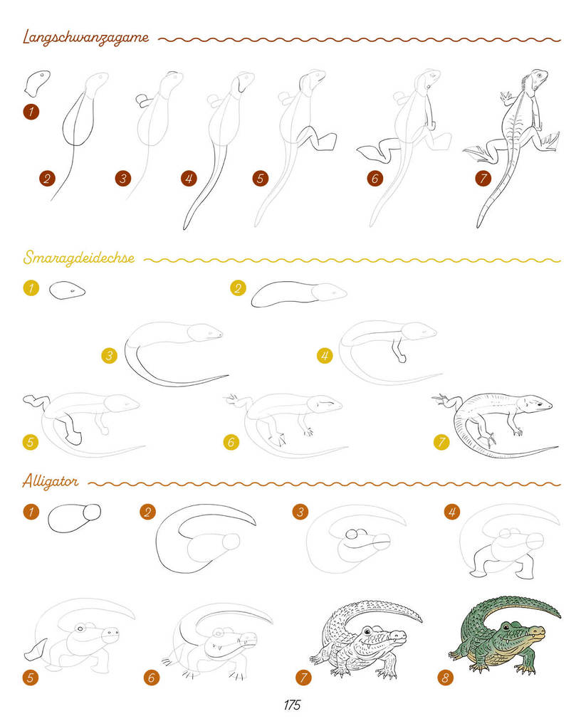Weitere Ansicht: Die ultimative Motiv-Bibliothek - 1000 x zeichnen | Lise Herzog