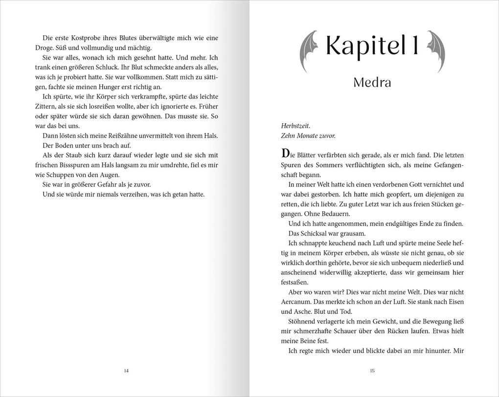 Weitere Ansicht: On Wings of Blood (Bloodwing Academy 1) | Briar Boleyn