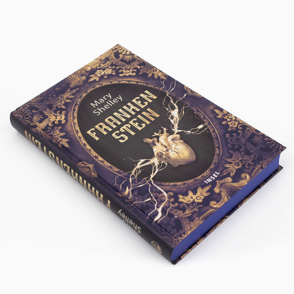 Weitere Ansicht: Frankenstein oder Der moderne Prometheus | Mary Shelley