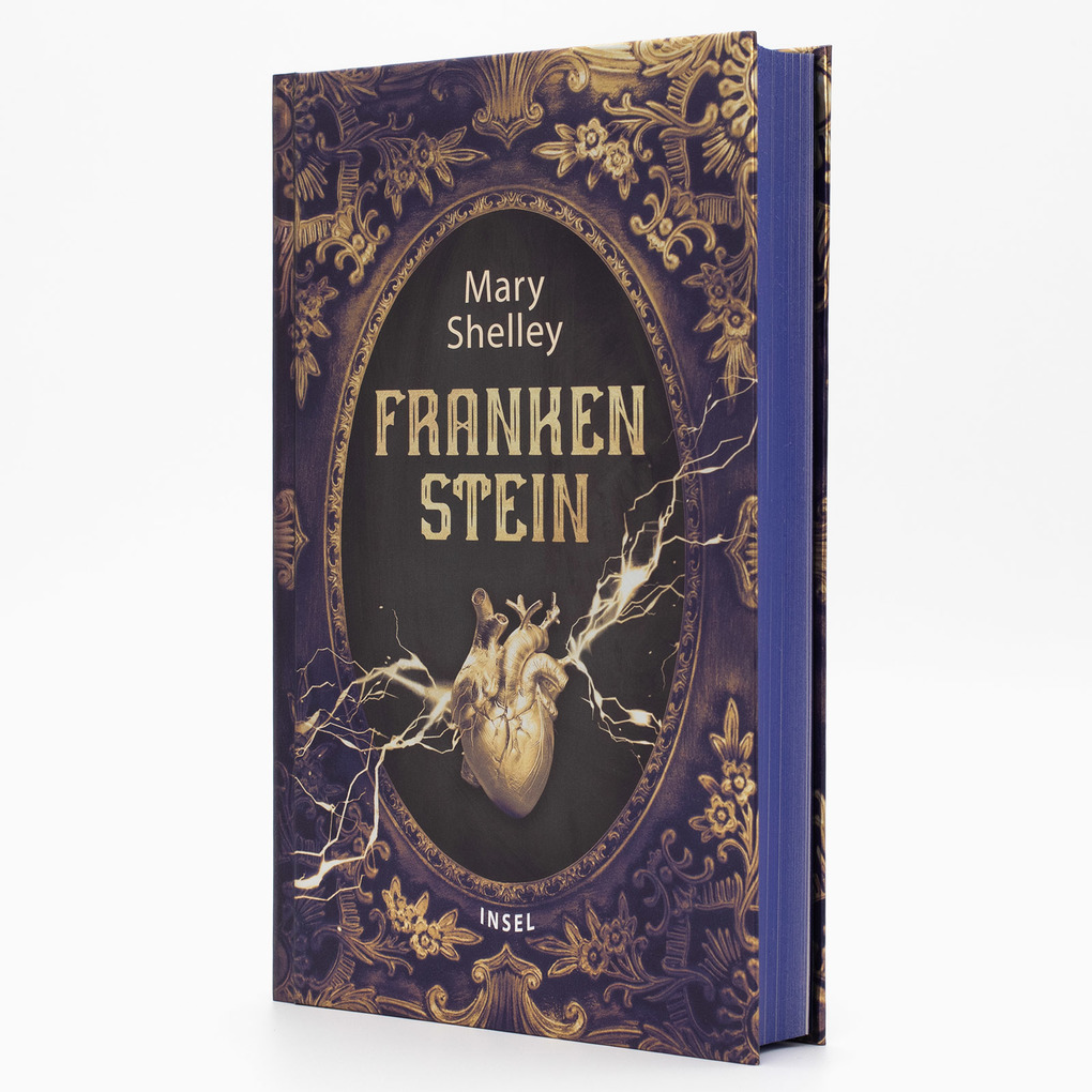 Weitere Ansicht: Frankenstein oder Der moderne Prometheus | Mary Shelley