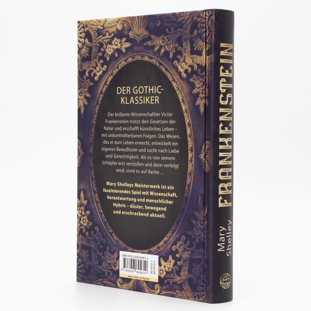 Weitere Ansicht: Frankenstein oder Der moderne Prometheus | Mary Shelley