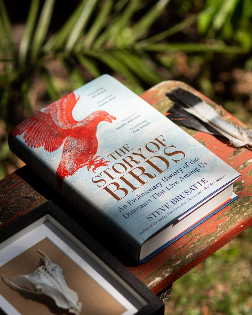Weitere Ansicht: The Story of Birds | Steve Brusatte