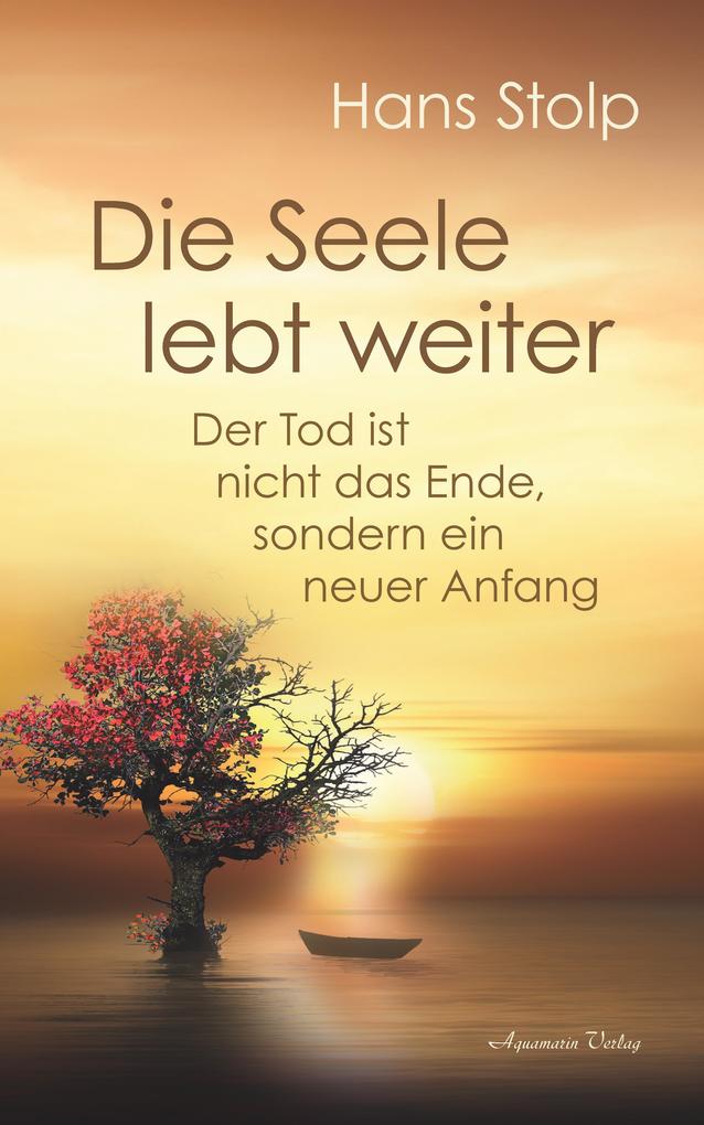 Produktbild: Die Seele lebt weiter: Der Tod ist nicht das Ende, sondern ein neuer Anfang | Hans Stolp