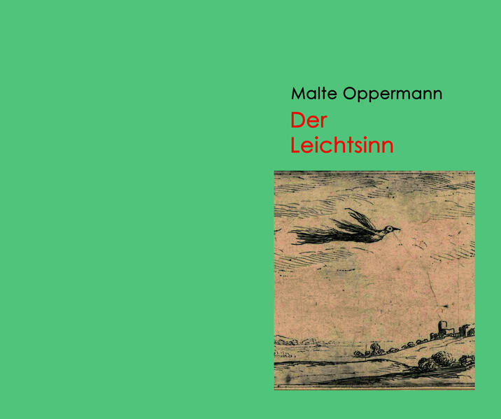 Produktbild: Der Leichtsinn | Malte Oppermann