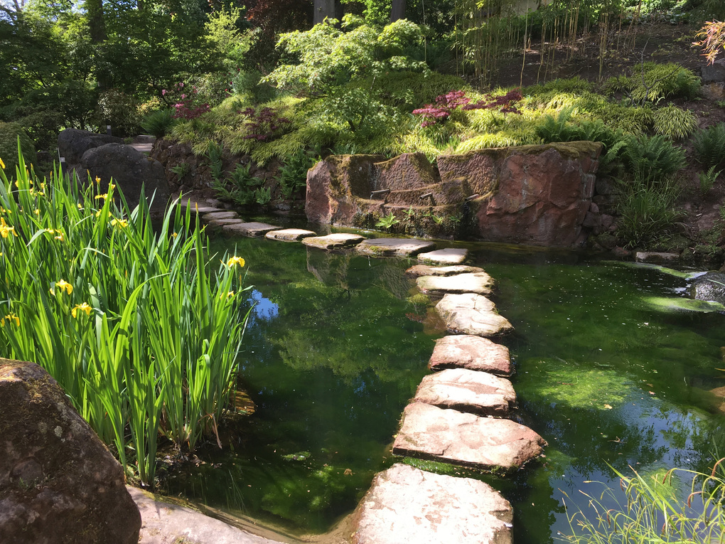 Weitere Ansicht: Gartenreisen - Botanische Gärten und Parks in Deutschland | Julia Schattauer