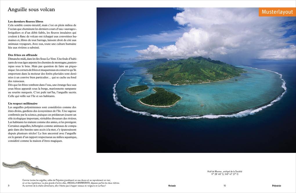 Weitere Ansicht: Das Wasser der Erde | Yann Arthus-Bertrand, Bill François