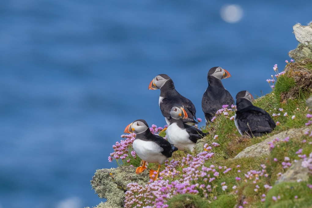 Weitere Ansicht: Secret Places Schottland mit dem Wohnmobil | Udo Haafke