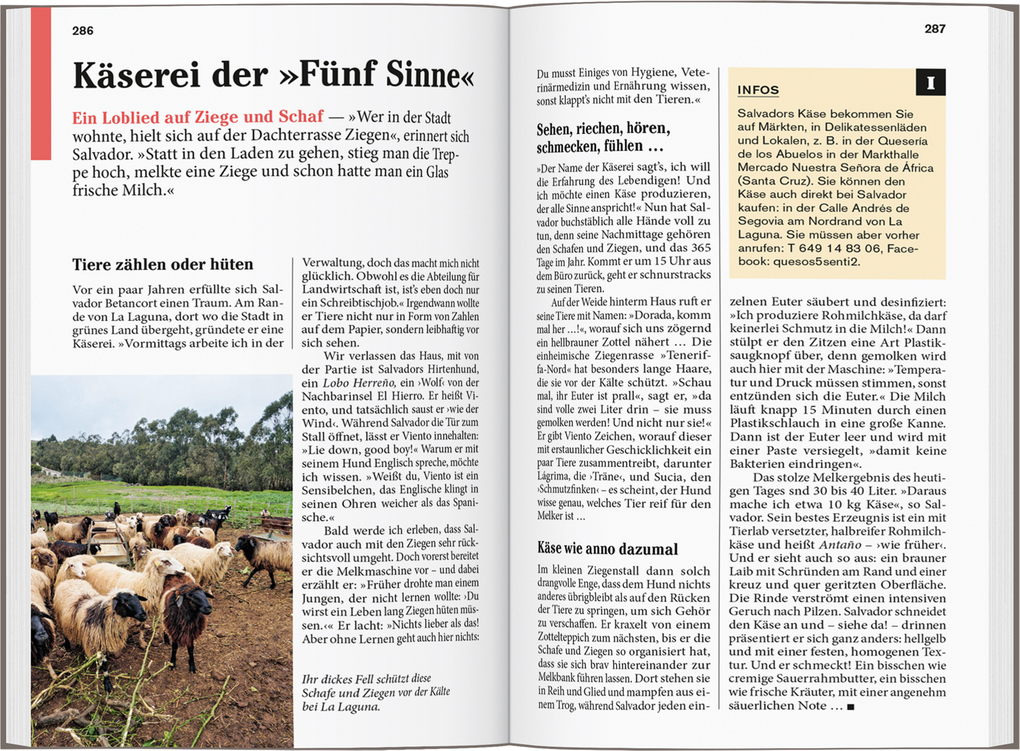 Weitere Ansicht: DUMONT Reise-Taschenbuch Reiseführer Teneriffa | Dieter Schulze