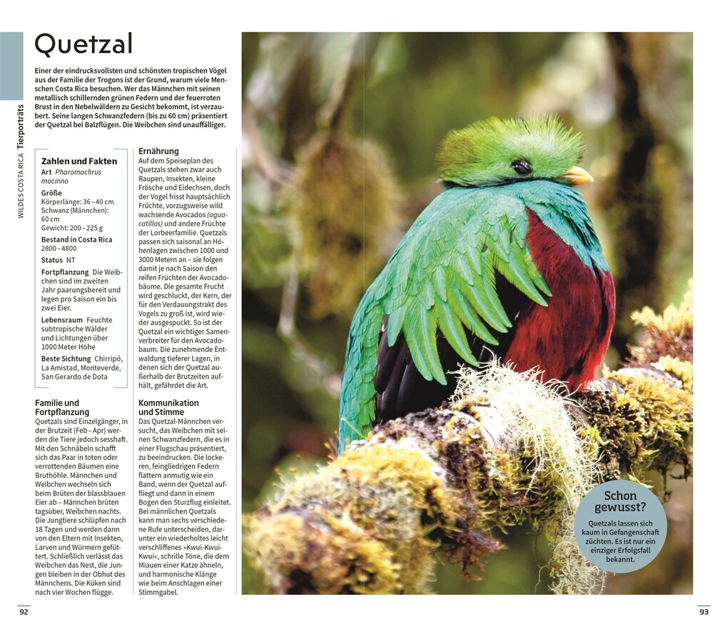 Weitere Ansicht: Vis-à-Vis Reiseführer Costa Rica