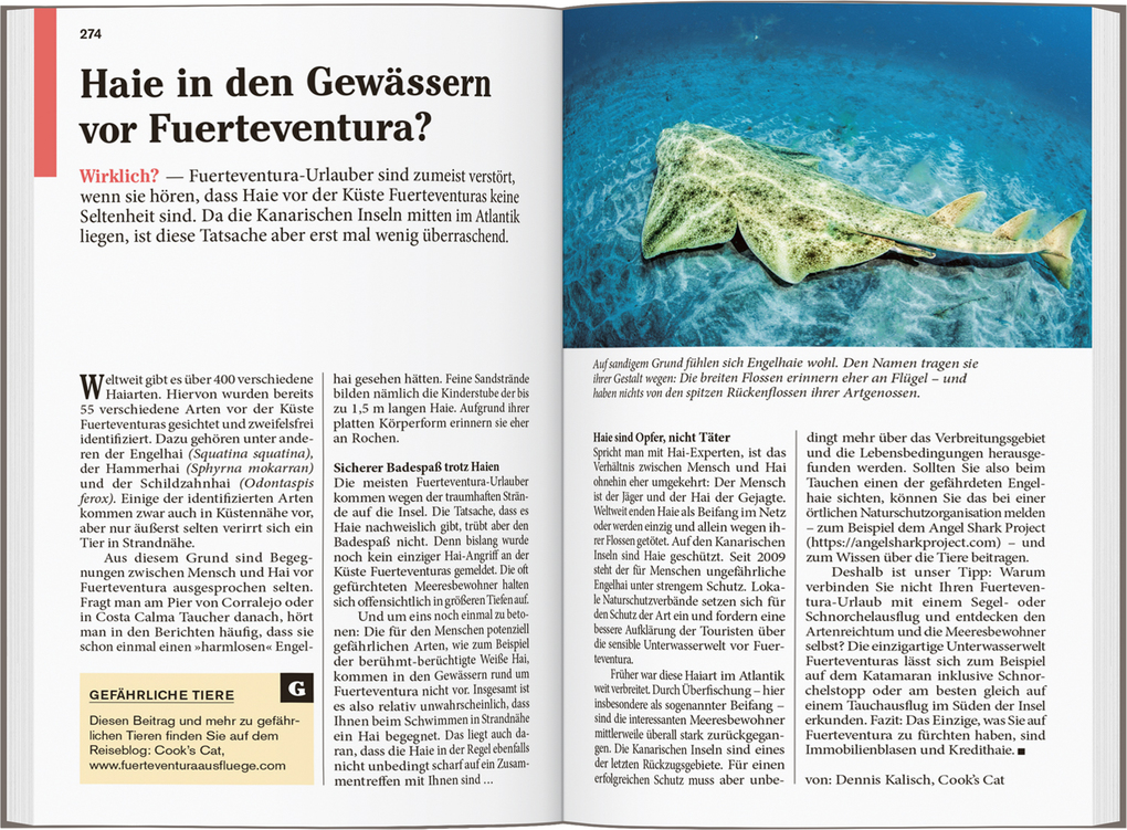 Weitere Ansicht: DUMONT Reise-Taschenbuch Reiseführer Fuerteventura | Susanne Lipps