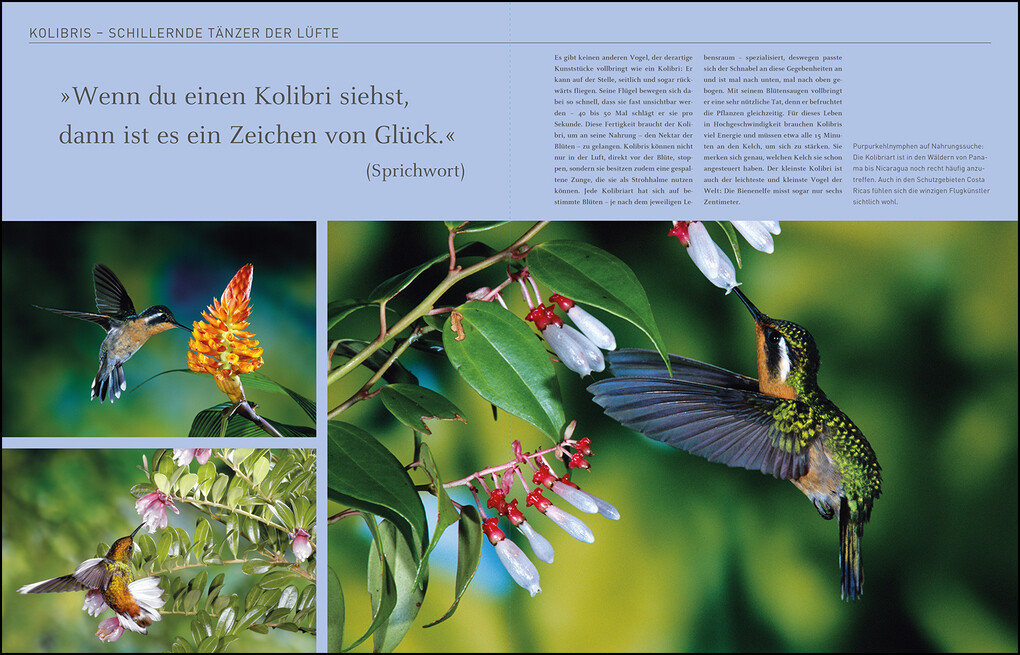 Weitere Ansicht: KUNTH Costa Rica. Das Buch | Oliver Kiesow