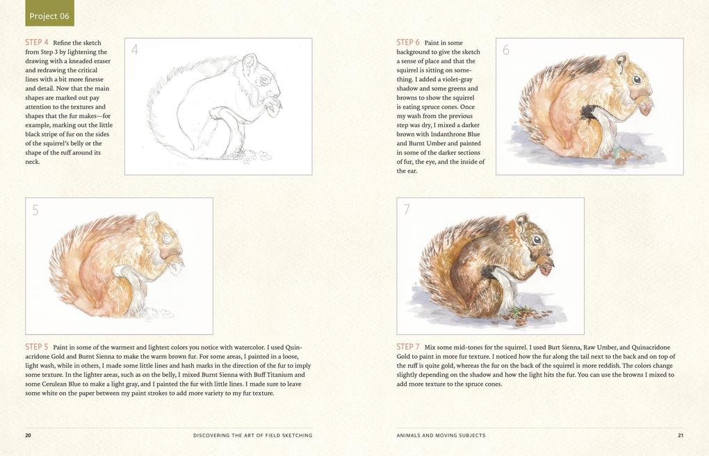 Weitere Ansicht: Discover the Art of Field Sketching | Kristin Link
