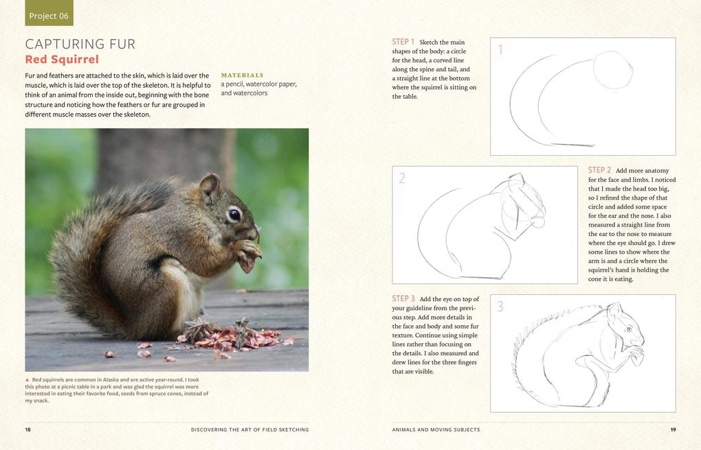 Weitere Ansicht: Discover the Art of Field Sketching | Kristin Link