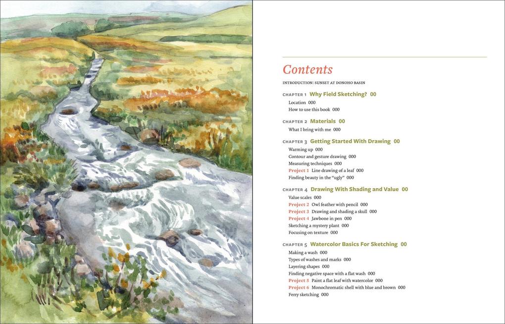 Weitere Ansicht: Discover the Art of Field Sketching | Kristin Link